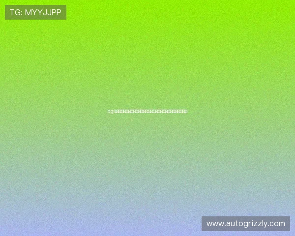 dg视讯网站如何选择正规平台保障个人信息安全与资金安全的实用指南